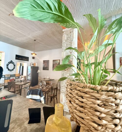🎉 OPORTUNIDAD · ESPACIO EVENTOS & GASTRONOMÍA · VALENCIA