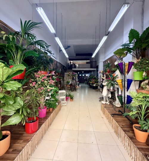 🌸 TRASPASO FLORISTERÍA CONSOLIDADA · MALVARROSA · VALENCIA